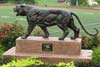Excelsior Springs HS mascot