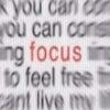Single Focus on Education