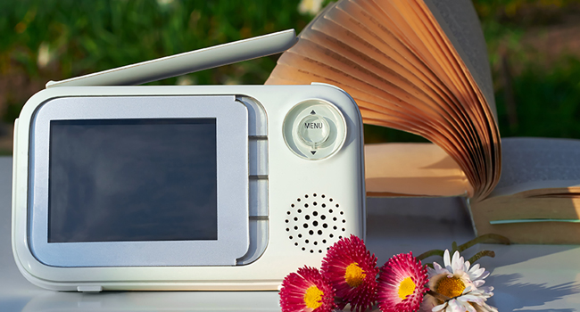 Hacker Startles Nanny via Baby Monitor with Camera