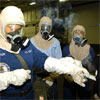 New Test Could Help Track Down and Prosecute Terrorist Who Use Nerve Gas and Other Agents