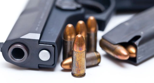 Author Cancels College Visit over Gun Policy and Security